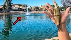 I Went Fishing in Phoenix Arizona's Urban Fisheries (Underrated?)