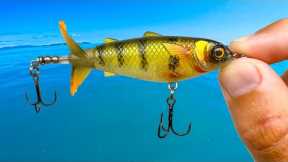 This NEW Lure is Amazing!