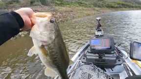 Early Spring Showers Bass Fishing (Lake Hodges)