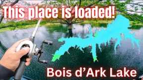 FINALLY fished Bois d'Ark Lake and it didn't disappoint!