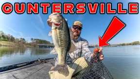 Spring Bass Fishing Is Awesome! Exploring Lake Guntersville!