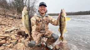 Public River Walleye Shore Fishing! (CATCH CLEAN COOK)
