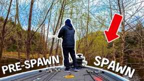 Finding A NEEDLE In A Haystack (New Lake BREAKDOWN)