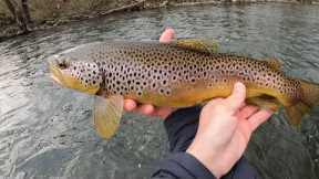 Fly Fishing the Little Juniata,  Spring is Here, the River is Waking Up!