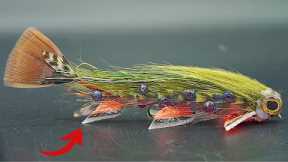 Making a Realistic Brook Trout Fly!
