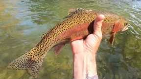 Fly Fishing the Bushkill Creek, One of Eastern PA's Urban/Suburban Limestoners