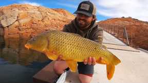 Chasing GIANT Fish in the Middle of the Desert!! (Catch & Cook)