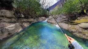 Fishing Hidden Waterfalls for Native Brook Trout | (Dry Fly Fishing)