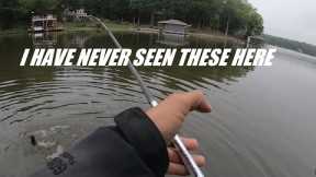 Lake Gaston Fishers of Men Tournament - May Bass Fishing