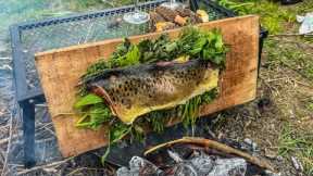 Cooking Fish on a Plank of Wood | Fly Fishing Catch & Cook
