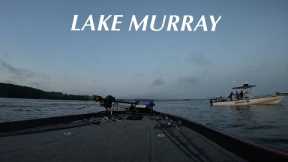 LAKE MURRAY Herring Spawn - SCLEOA Tournament May 2024