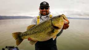 Raw Fishing Footage on Clearlake! Giant Bass Caught!! Spring Bass Fishing!