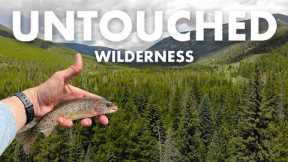 Catching a TON of Trout in a Stunning Mountain River! (Tenkara Fly Fishing)