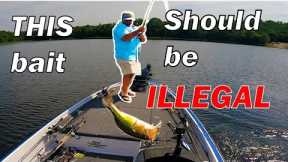 The Bass Fishing Study That Changed My Fishing Ways...