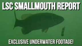 Lake St. Clair Smallmouth Bass Fishing Report - With EXCLUSIVE Underwater Footage
