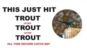 242. Record Trout 🐟 Catching Beaded Spider Flies 🐟 Fly Fishing UK 🐟