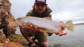 Chasing BIG Rainbow Trout w/ the Fly Rod!! (Catch & Cook)