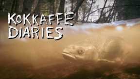 Fly Fishing for Diamond Orfe.