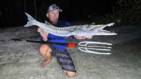Catching Barracudas with Only a Hand Spear!  (Catch & Cook)