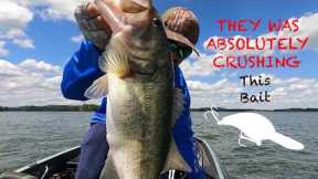 Bass fishing on LAKE GUNTERSVILLE