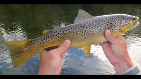 INCREDIBLE Dry Fly Fishing on Delaware's West Branch, BEING AT THE RIGHT PLACE AT THE RIGHT TIME!