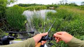 FISHING FRENZY: Big Bass and Walleye in Shallow Waters!