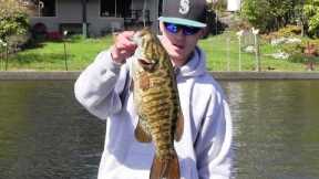 Spring Tactics for Bass Fishing in Washington