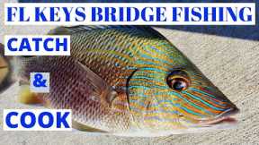 Very UNDERESTIMATED FISH  GRUNTS catch and COOK!