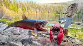 SOLO Mountain Crawfish & Trout Fishing!!! (Catch & Cook)
