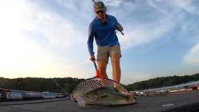 23lb Bag of Spotted Bass on GLIDE BAITS! - LAKE LANIER MAGNUMS