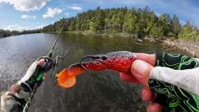Fishing Realistic Lifelike Crawfish Lure for Bass