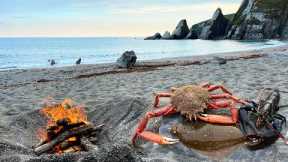 Catching Crabs and Lobsters by hand and Wild Beach Cooking!