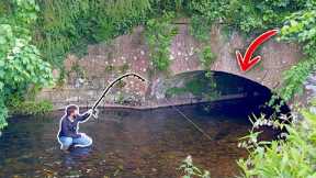 Fishing a TINY Private Stream... I couldn't BELIEVE what happened! 😯