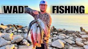 We caught HUNDREDS of SPECKLED TROUT while WADE FISHING! (Catch & Cook)