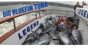 Big Bluefin Tuna Mayhem - Night Time Jig fishing - 2 Days on the Legend out of H&M Landing