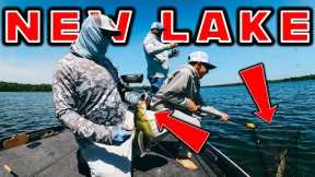 Power Fishing VS Finesse Fishing: Finding Bass In A New Lake!