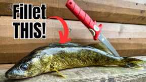 How to Fillet ANY Fish (SIMPLEST Method for BEGINNERS!)