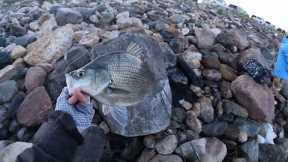 Combat Fishing Devils Lake, North Dakota 6-8-2024