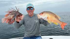 Giant Lane Snapper vs Venomous Lionfish Catch Clean & Cook