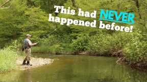 A River Full of Surprises | Fly Fishing for Wild Trout | Central, NY