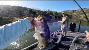 The Lake Berryessa Topwater BITE is about to go OFF!!!