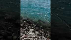 Dry Fly rejection or was I to slow?