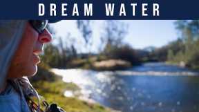 Fly Fishing: This River Was MAGIC!