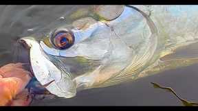 Epic Tarpon Fishing trip ON FLY