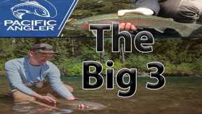 Top 3 Ways We Fly Fish In Trout Rivers + The Gear You Need