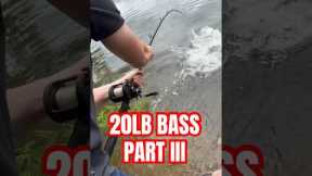 THIS THING WAS BIG! Wrong answers only. #bassfishing #bass #catfish #fishing #fish#wildlife #