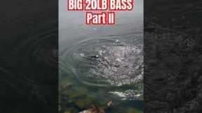 🫡Big mouth = BIG BASS!!! #fishing #bassfishing #fish #biggin #fishingvideo #fishinglife #giant