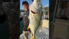 Dry Aged Fish Catch & Cook