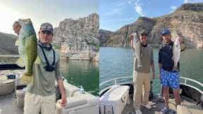 Fishing Lake Pleasant For Striper & Largemouth / Pesca De Lobina En El Lago Pleasant (2024)