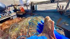 GIANT SPIDER CRABS WIPE OUT ARE FLATFISH NET - Plaice Catch & Cook